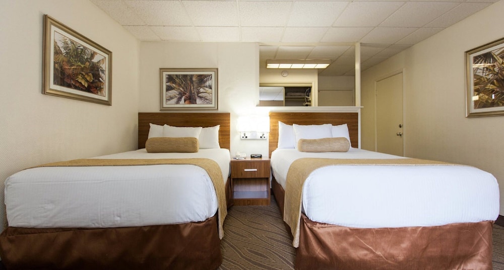 Best Western Naples Inn & Suites 13/36