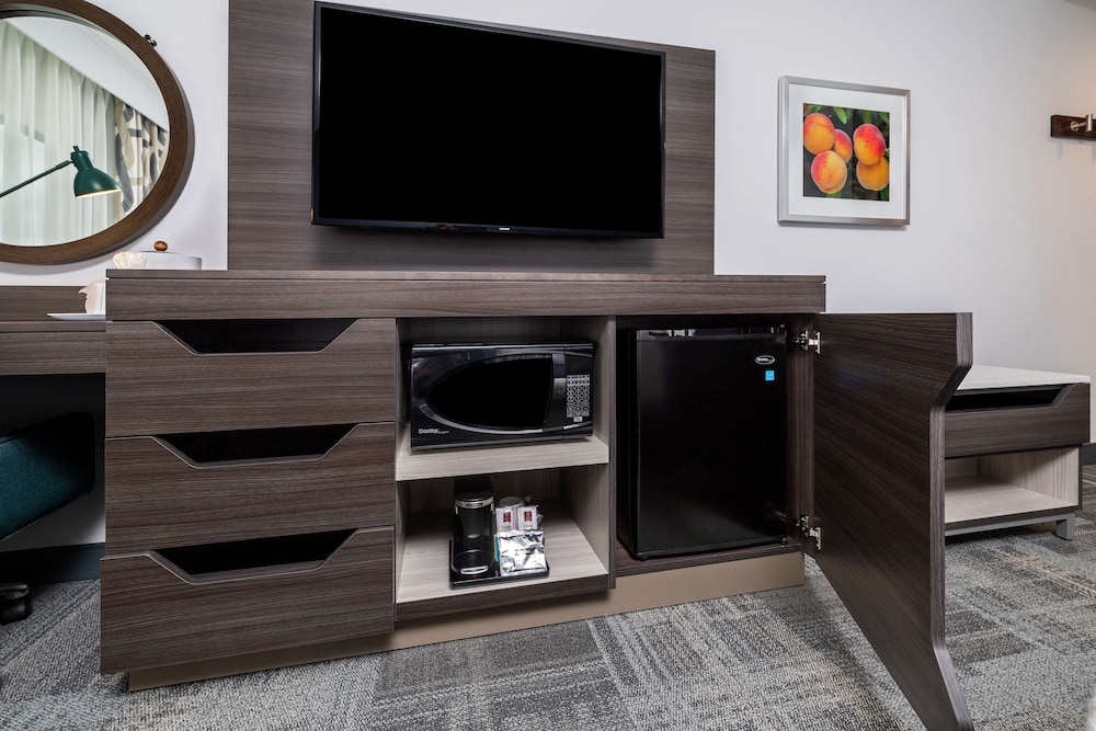 Hampton Inn & Suites Snellville Atlanta Ne 30/31