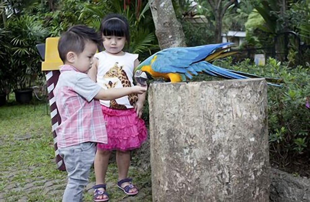 Royal Safari Garden Resort & Convention 63/67