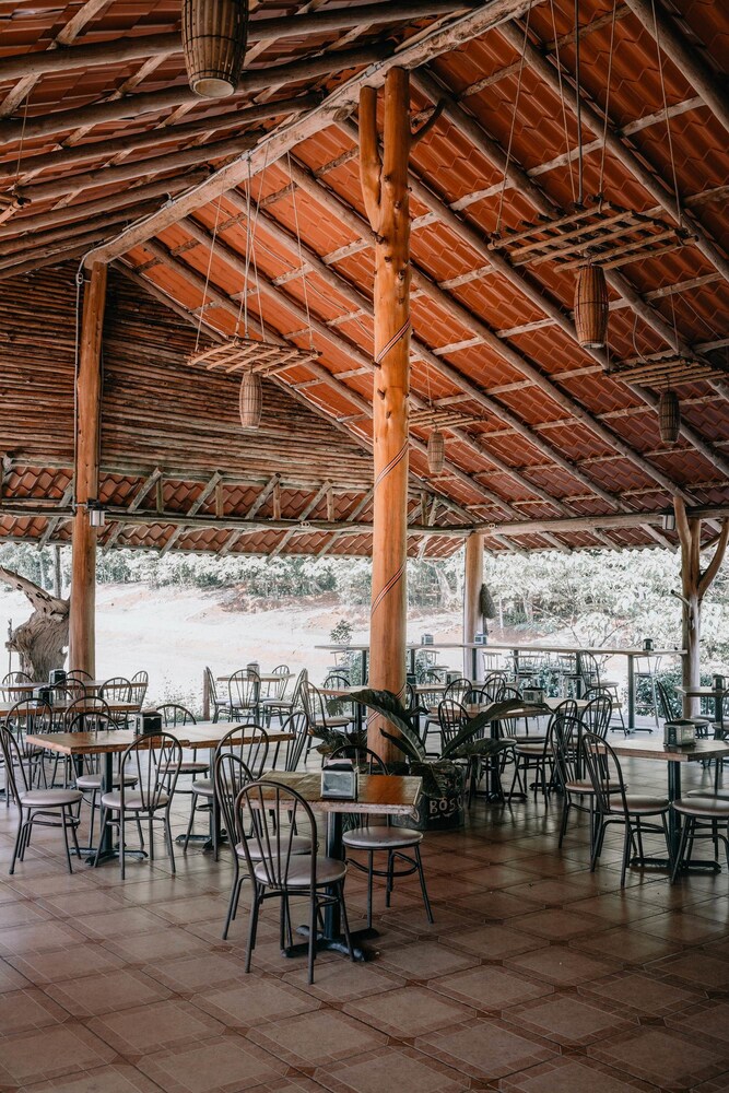 Hotel Del Bosque 29/41