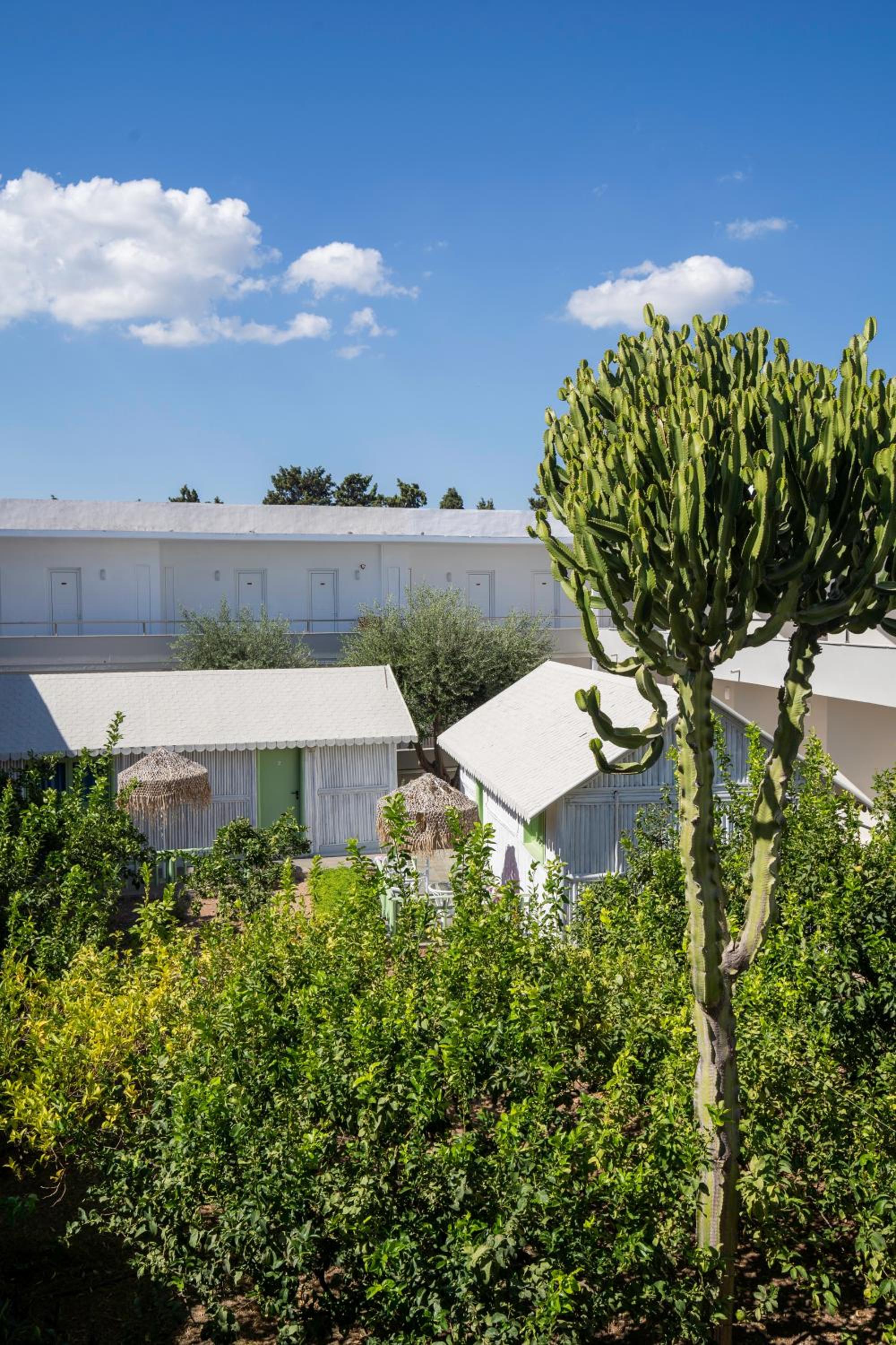 Kolymbia Sun 49/55