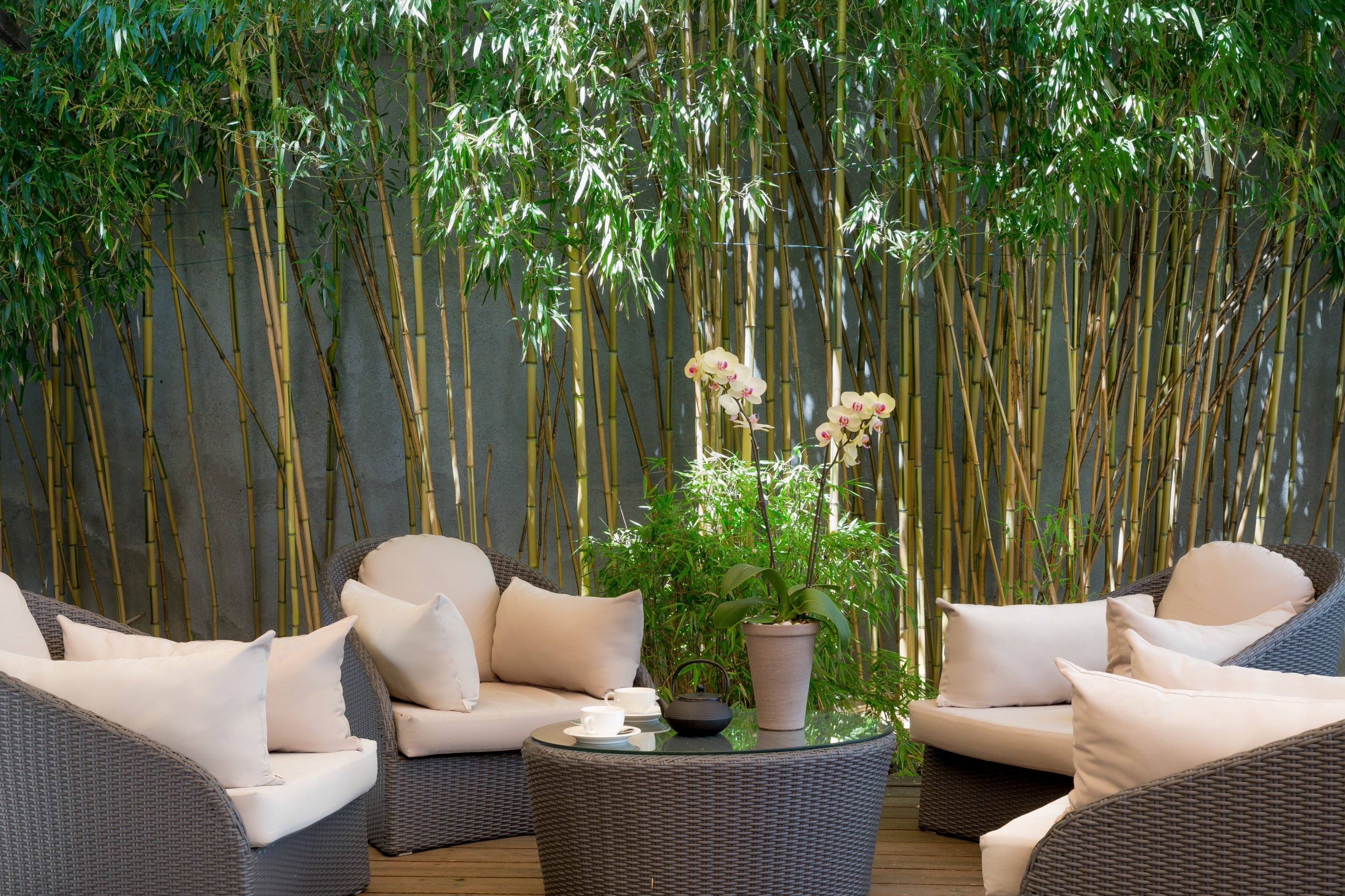 Hotel Jade Geneva 38/51