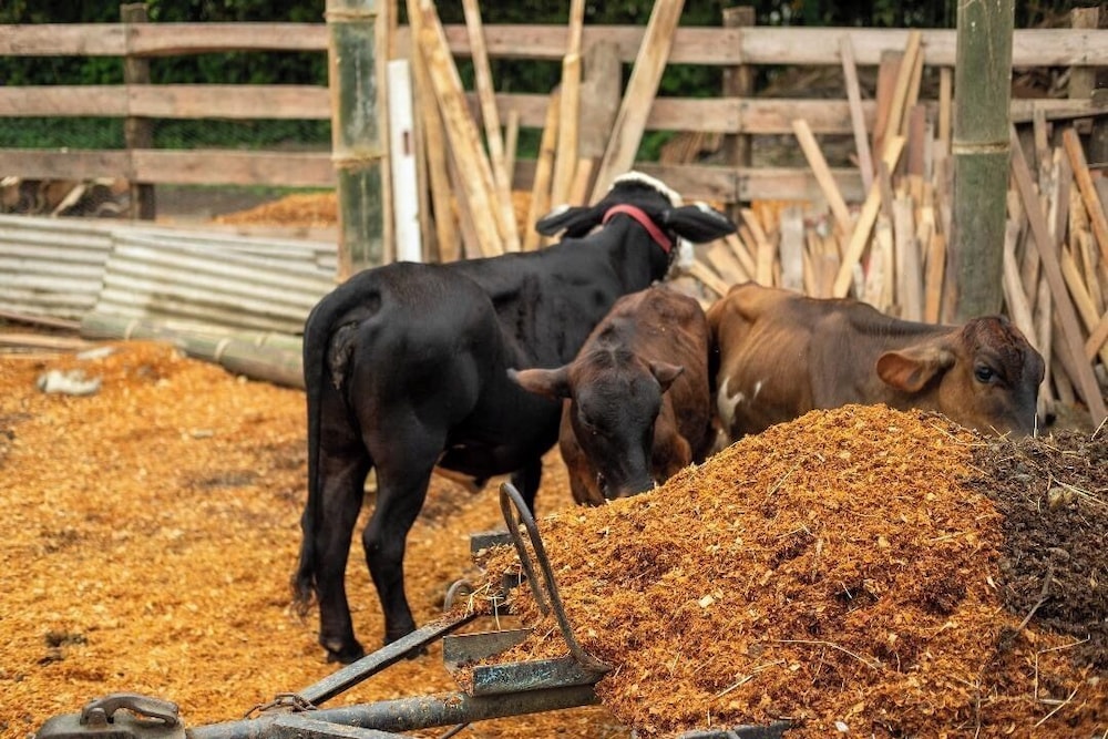 Rancho Texas Ubatuba 27/46