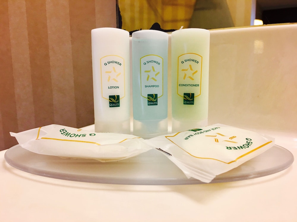 Quality Inn Vienna - Tysons Corner 24/42