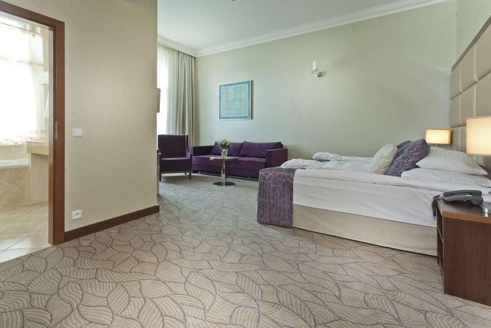 Kosher Hotel KING DAVID Prague 9/45