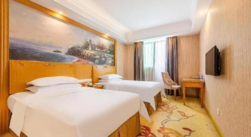 Vienna Hotel (Shenzhen Bantian Vanke Diwuyuan) 20/49