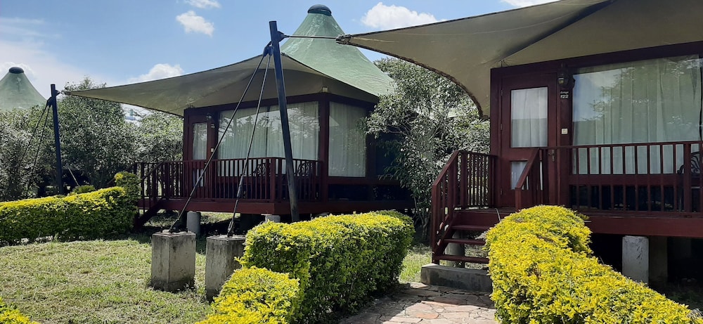 AA Lodge Masai Mara 5/50
