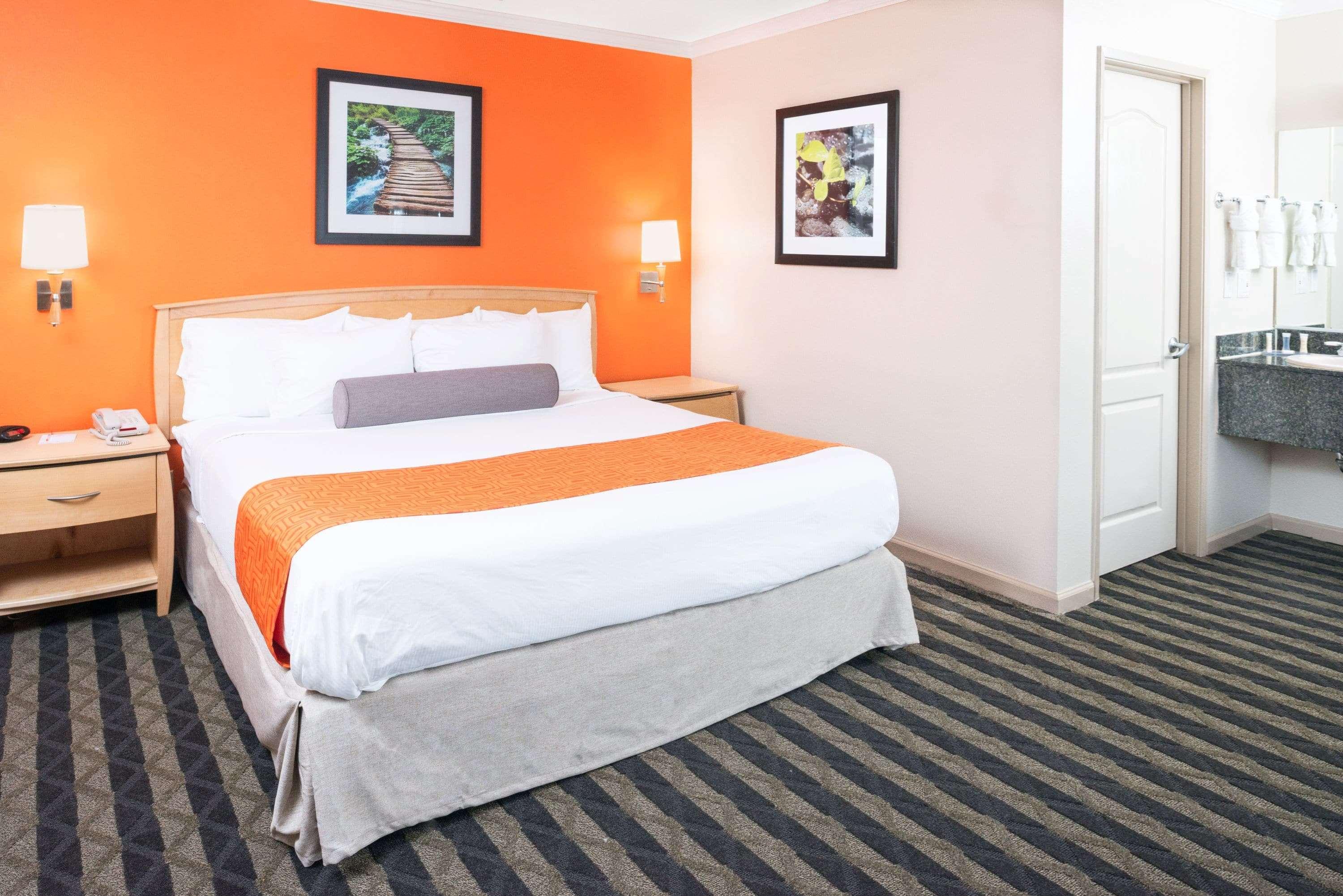 Suite, King Bed