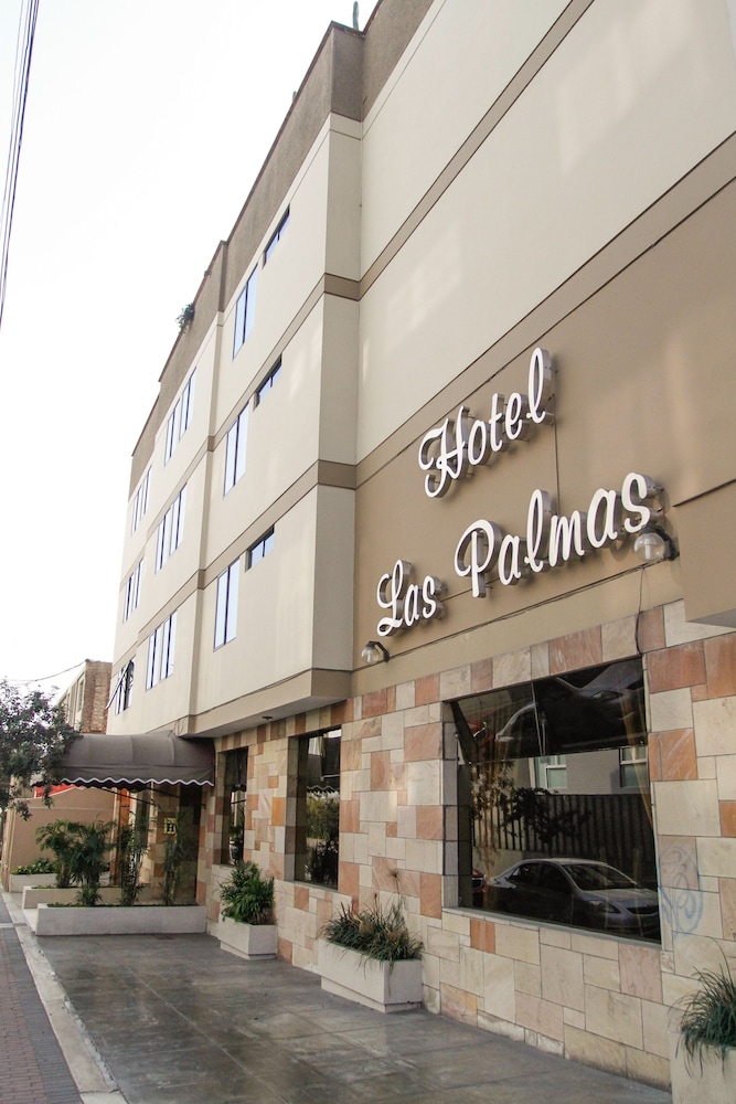 Las Palmas 51/51