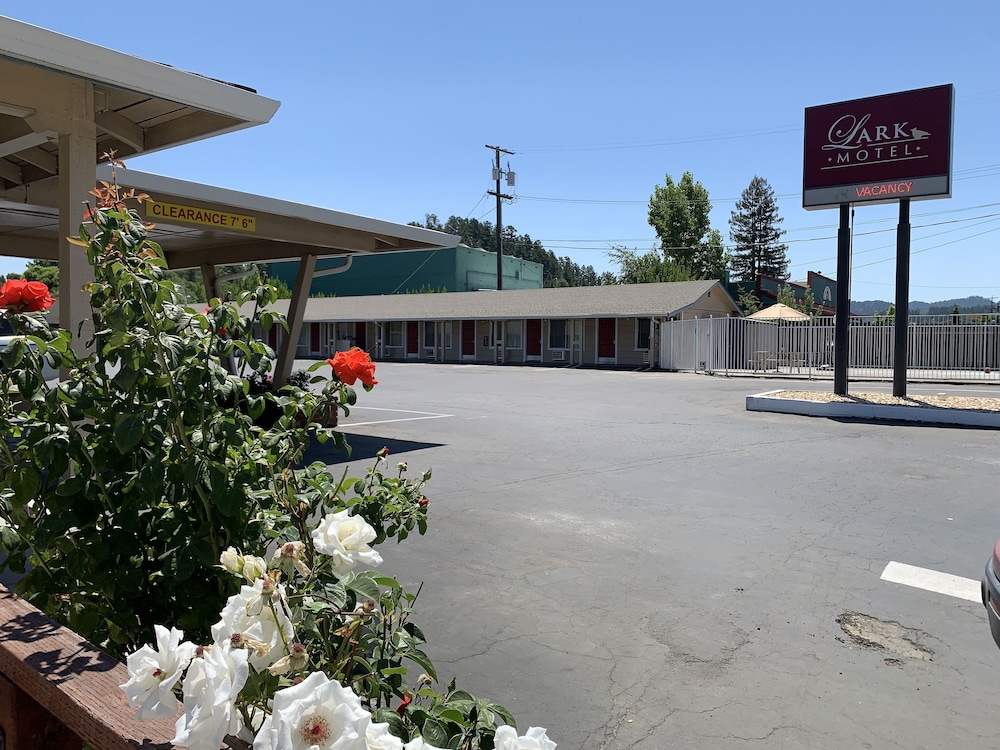 Lark Motel 3/53