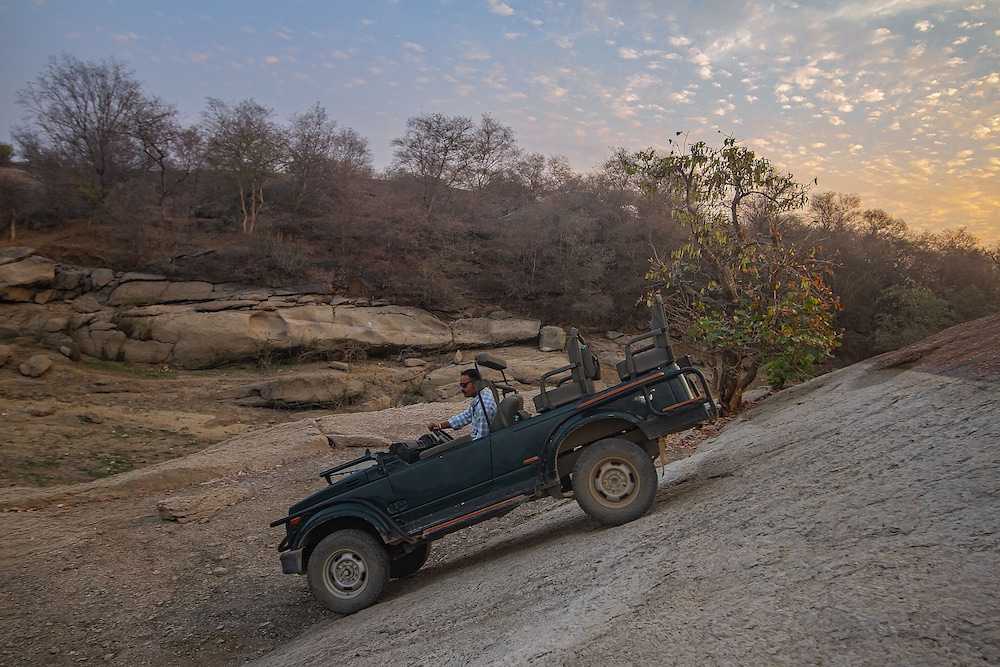 Amritara Jawai Sagar Pali 63/68