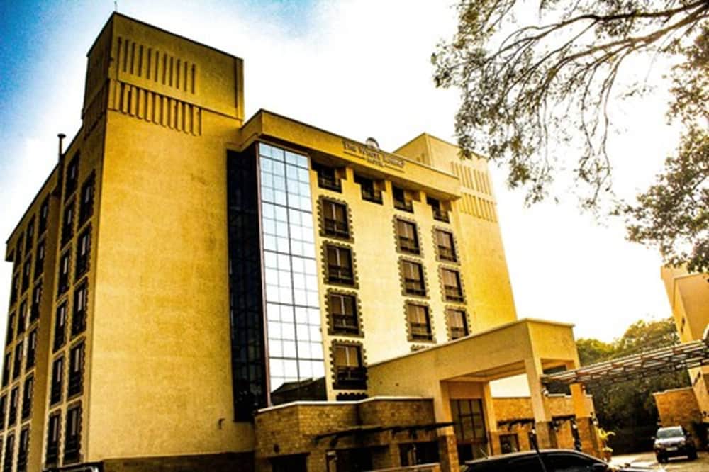 The White Rhino酒店(The White Rhino Hotel) 图片4