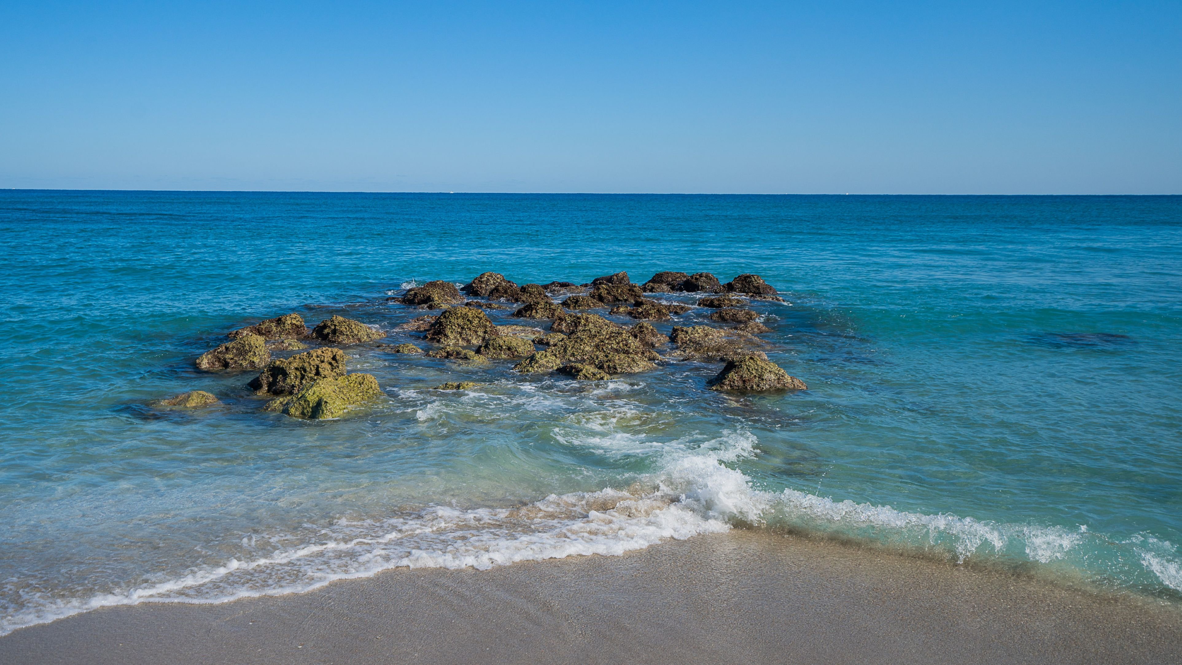 Holiday Inn Boca Raton - North, an IHG Hotel 58/64