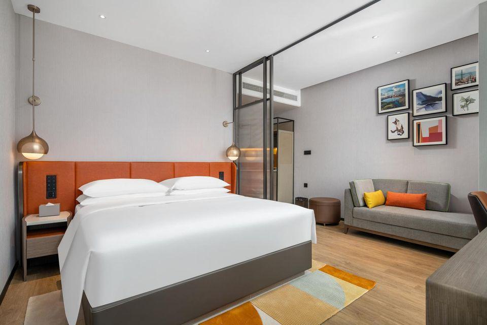Micro Room, Suite, Queen Bed