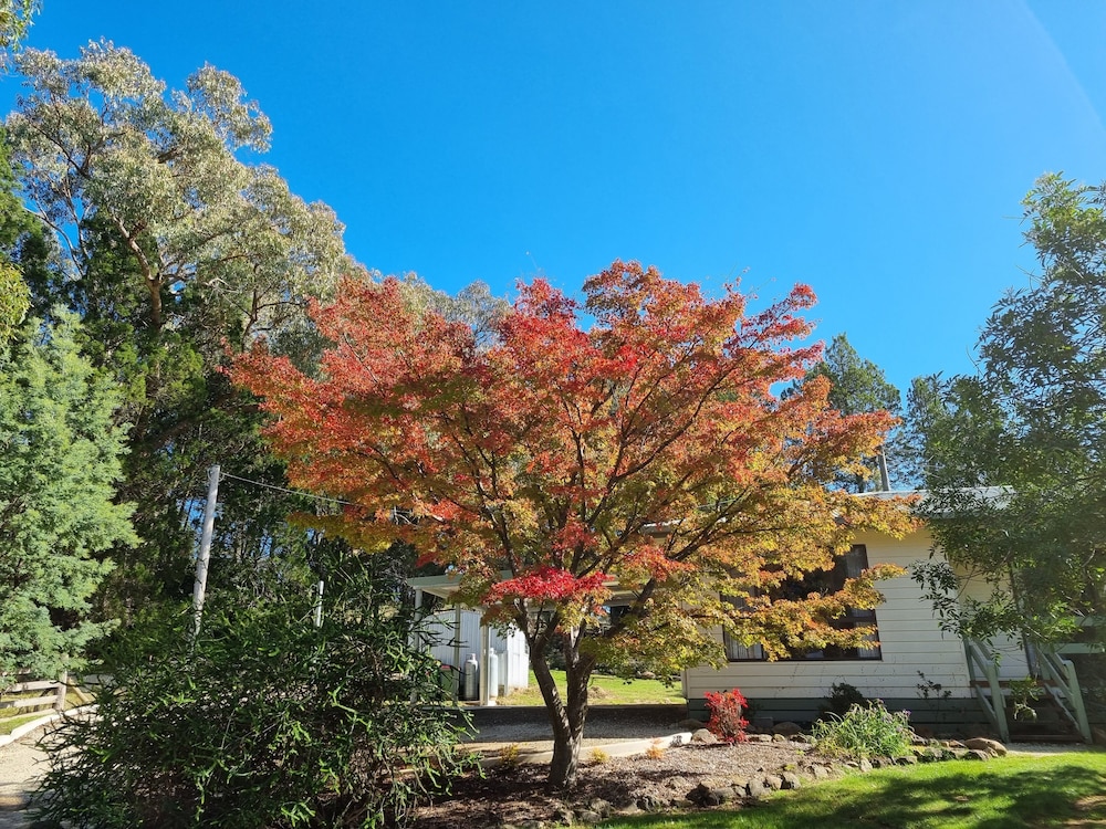 Golden Heritage Apartments Beechworth 27/35