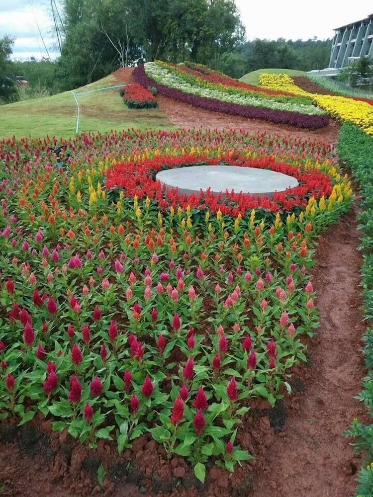 Phurua Sanctuary Resort And Spa 40/50