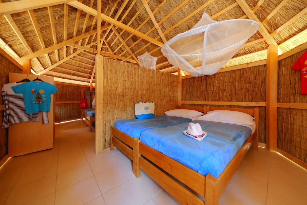 Pine Beach Pakostane 17/50