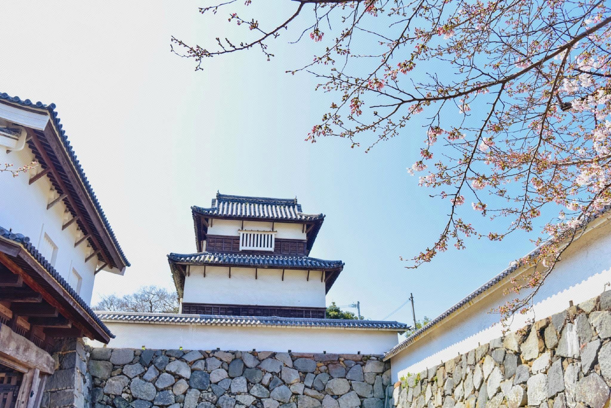 Hearts Capsule Hotel & Spa Nakasu photo3