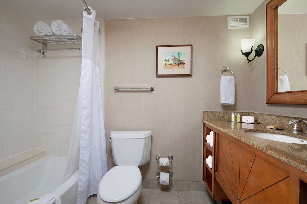 DoubleTree Beach Resort by Hilton Tampa Bay - North Redington Beach 17/59