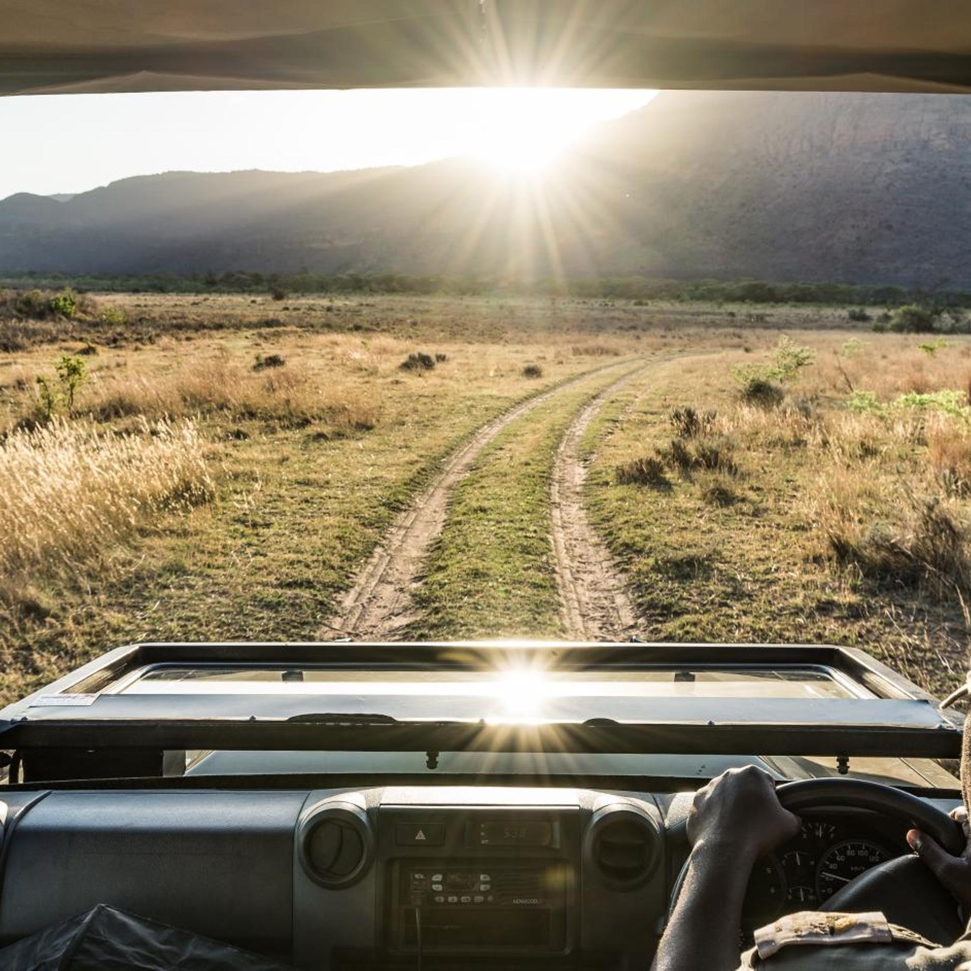 Entabeni Game Reserve/ Safari Conservancy 28/37