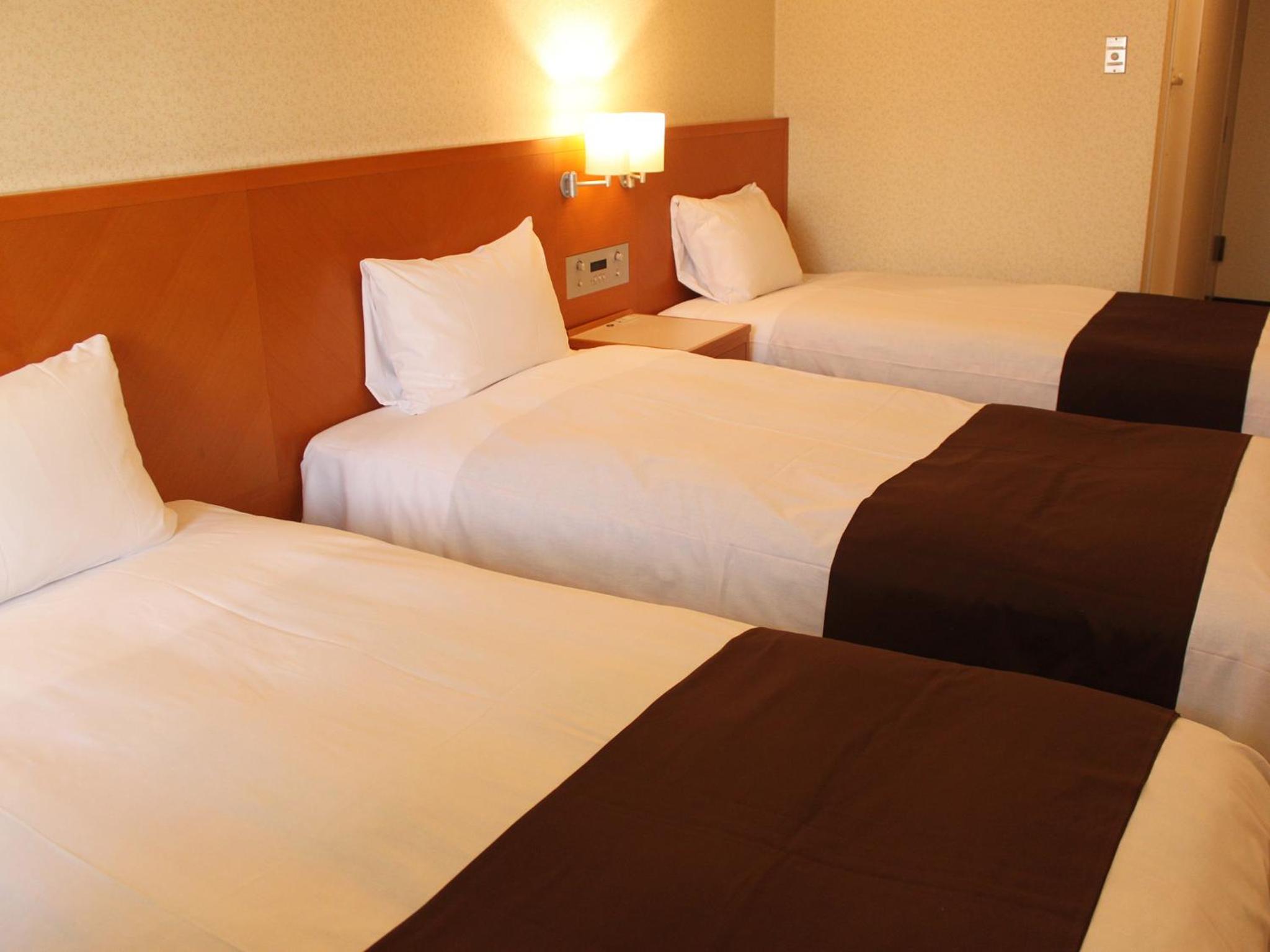 Room, Triple