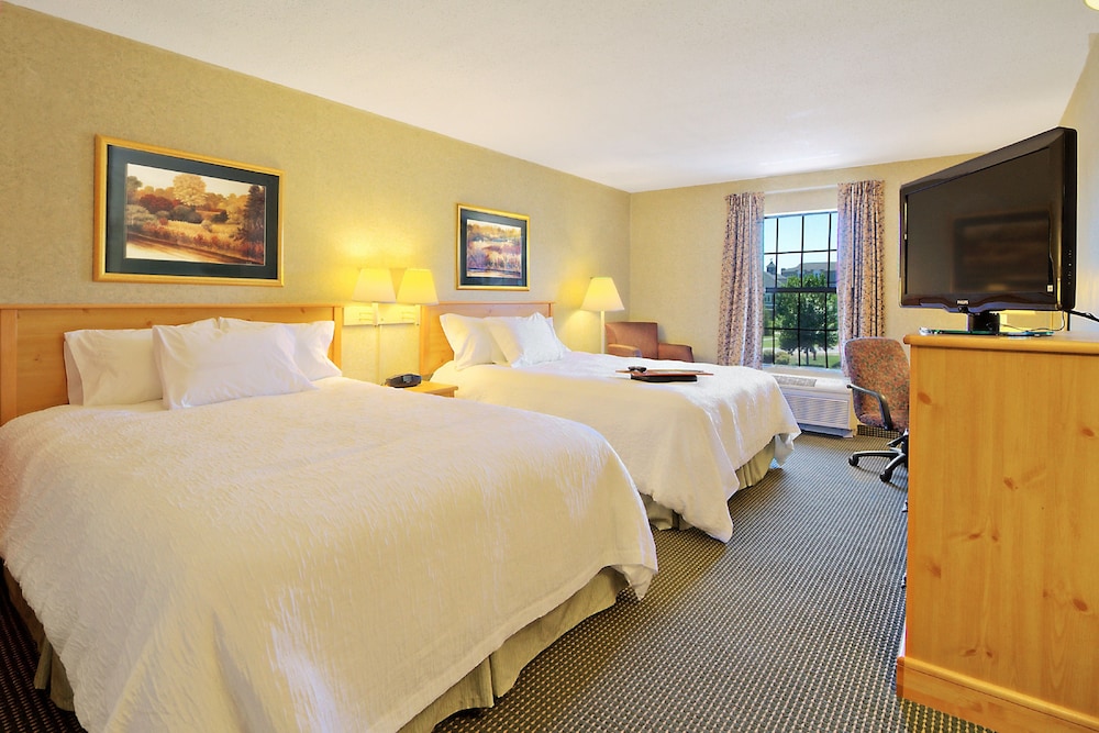 Hampton Inn & Suites by Hilton Petoskey 17/75