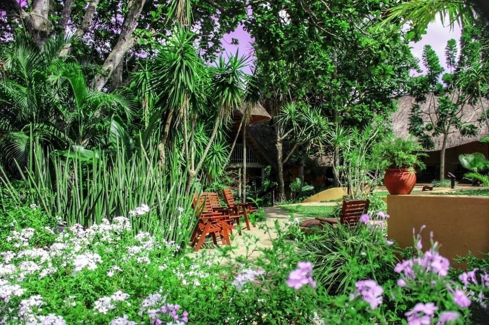Amazulu Lodge 31/50