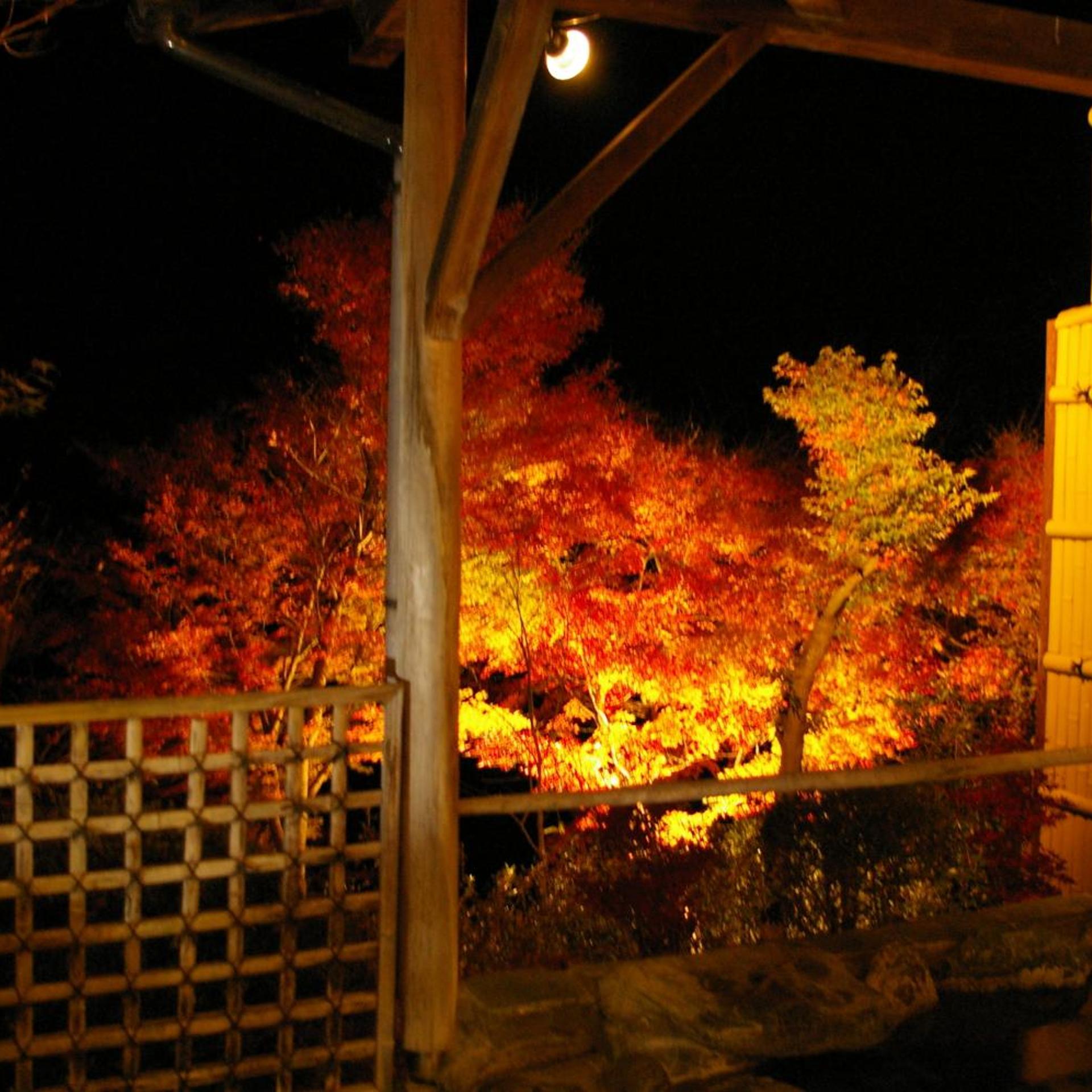 Miyataya Ryokan 43/50
