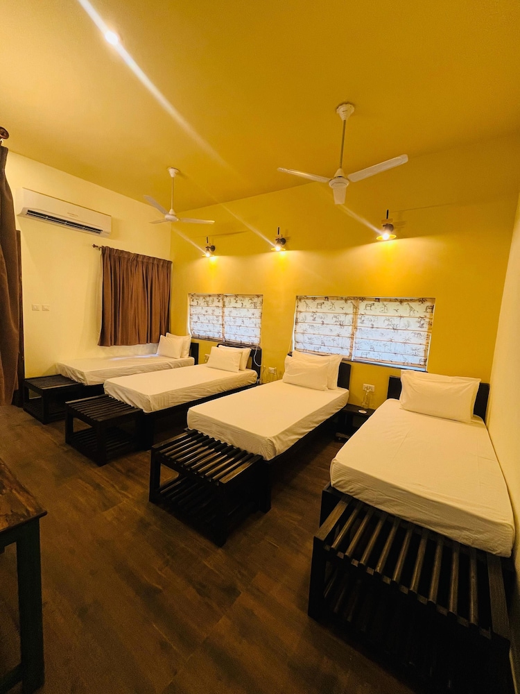 Tathastu Tadoba 32/47