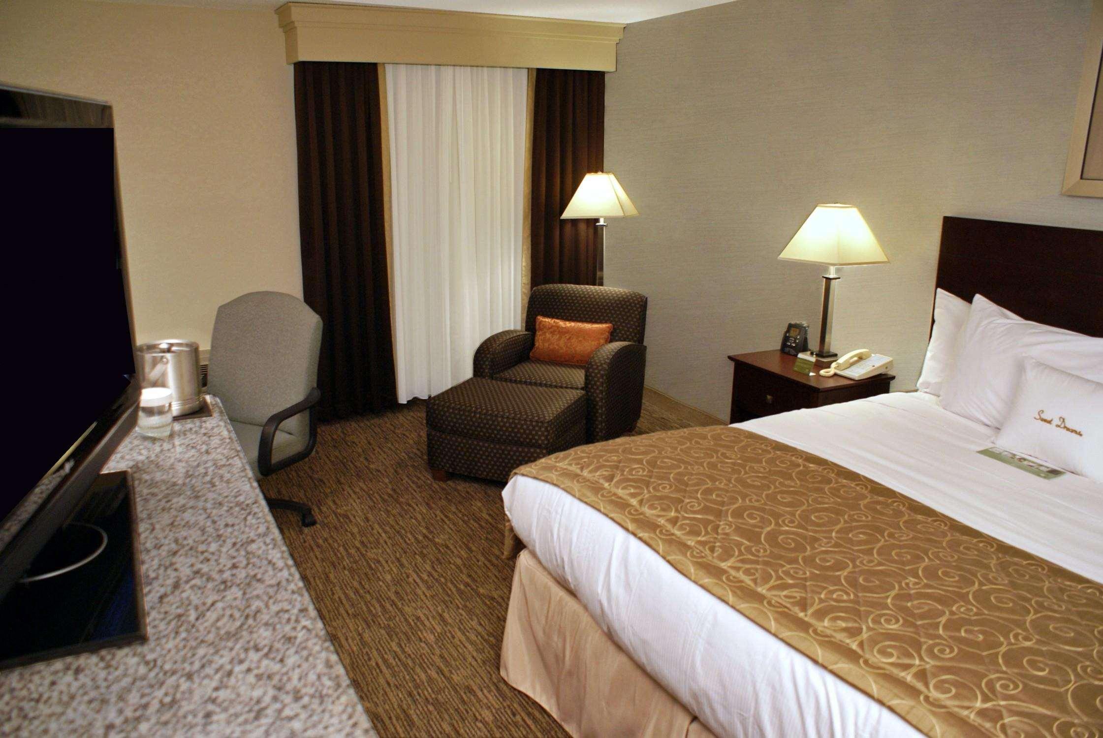 Conference, 2 Rooms, Suite, King Bed