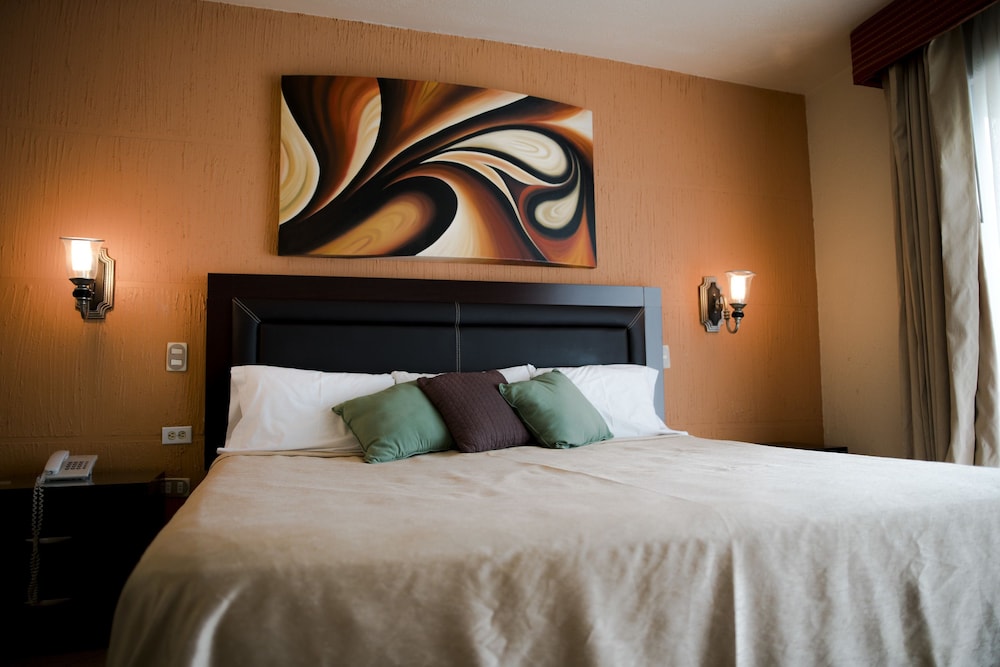 Hotel Ejecutivo Tepic 21/65