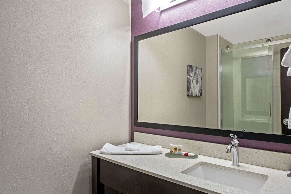 La Quinta Inn Suites By Wyndham York 14/53