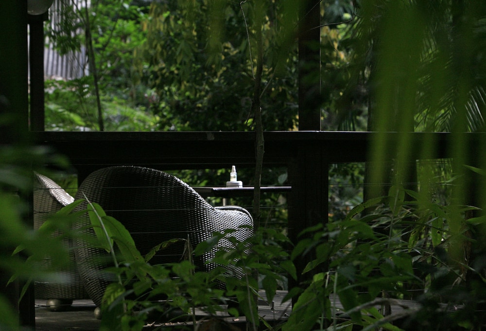 Songbirds Rainforest Retreat 37/50