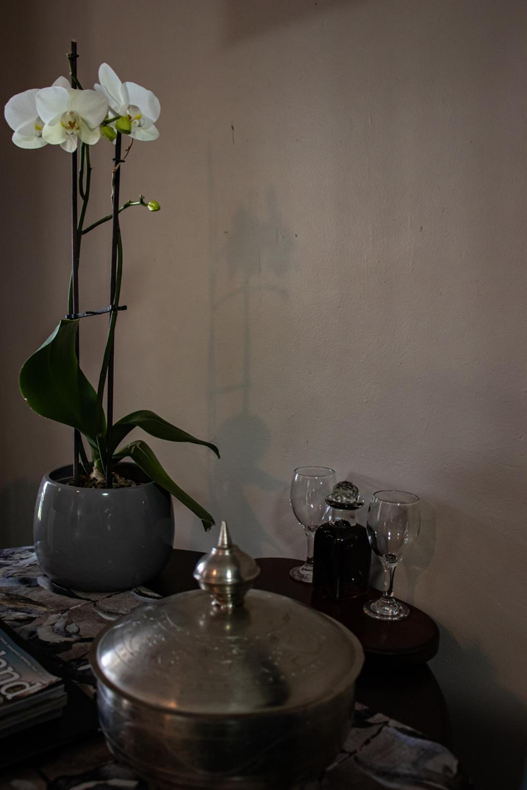 Drakensview Self Catering 10/50