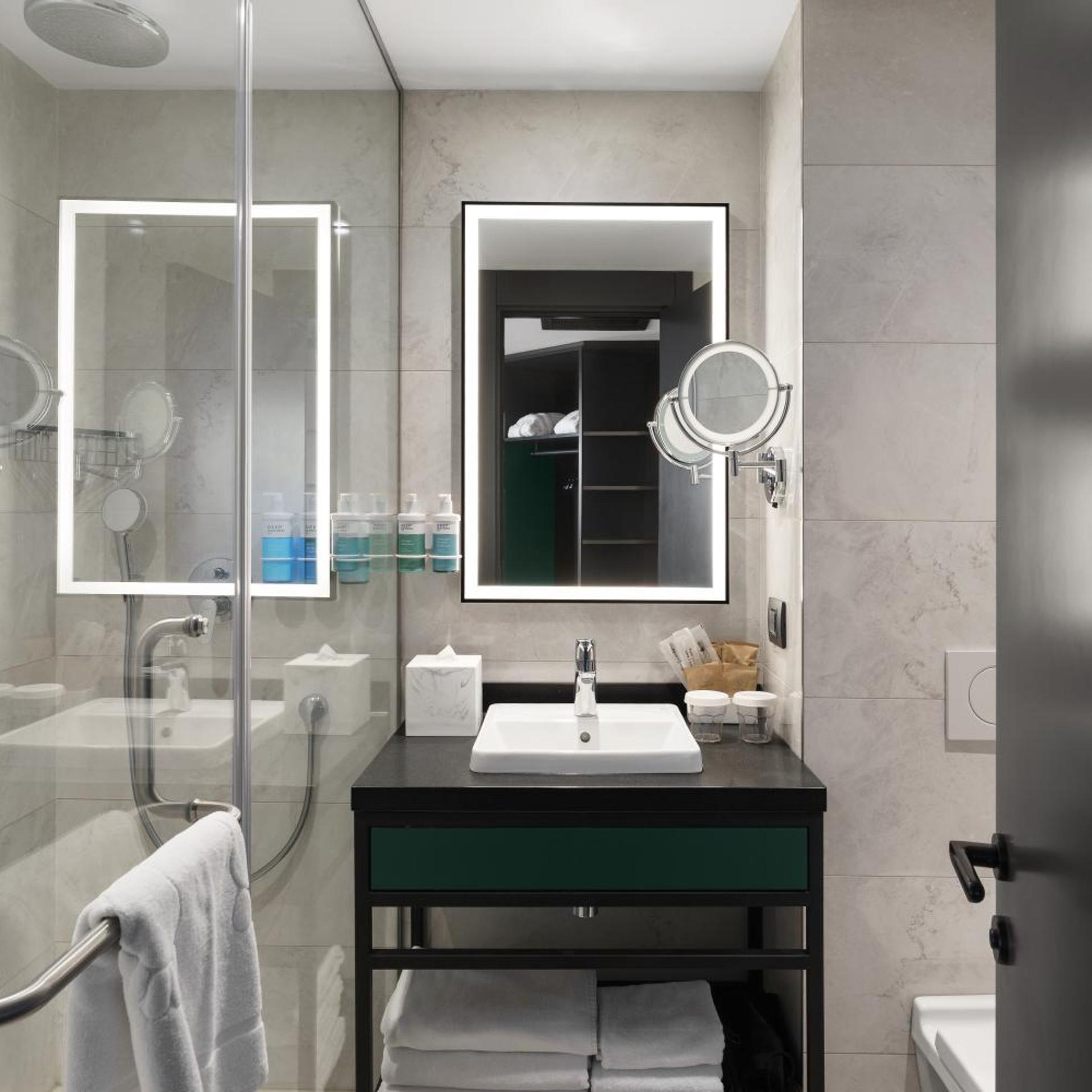 Standard, Single Bed, Novotel Tbilisi Center 5/6