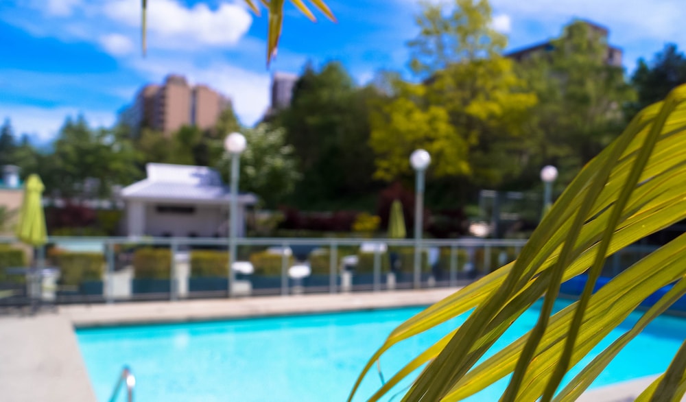 Executive Plaza Hotel Metro Vancouver 43/50