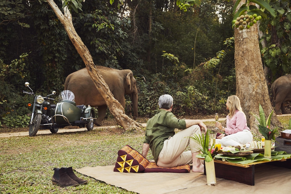 Anantara Golden Triangle Elephant Camp Resort 75/82