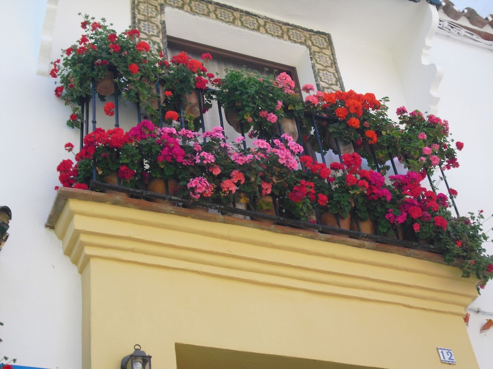 Hotel Ronda 2/24
