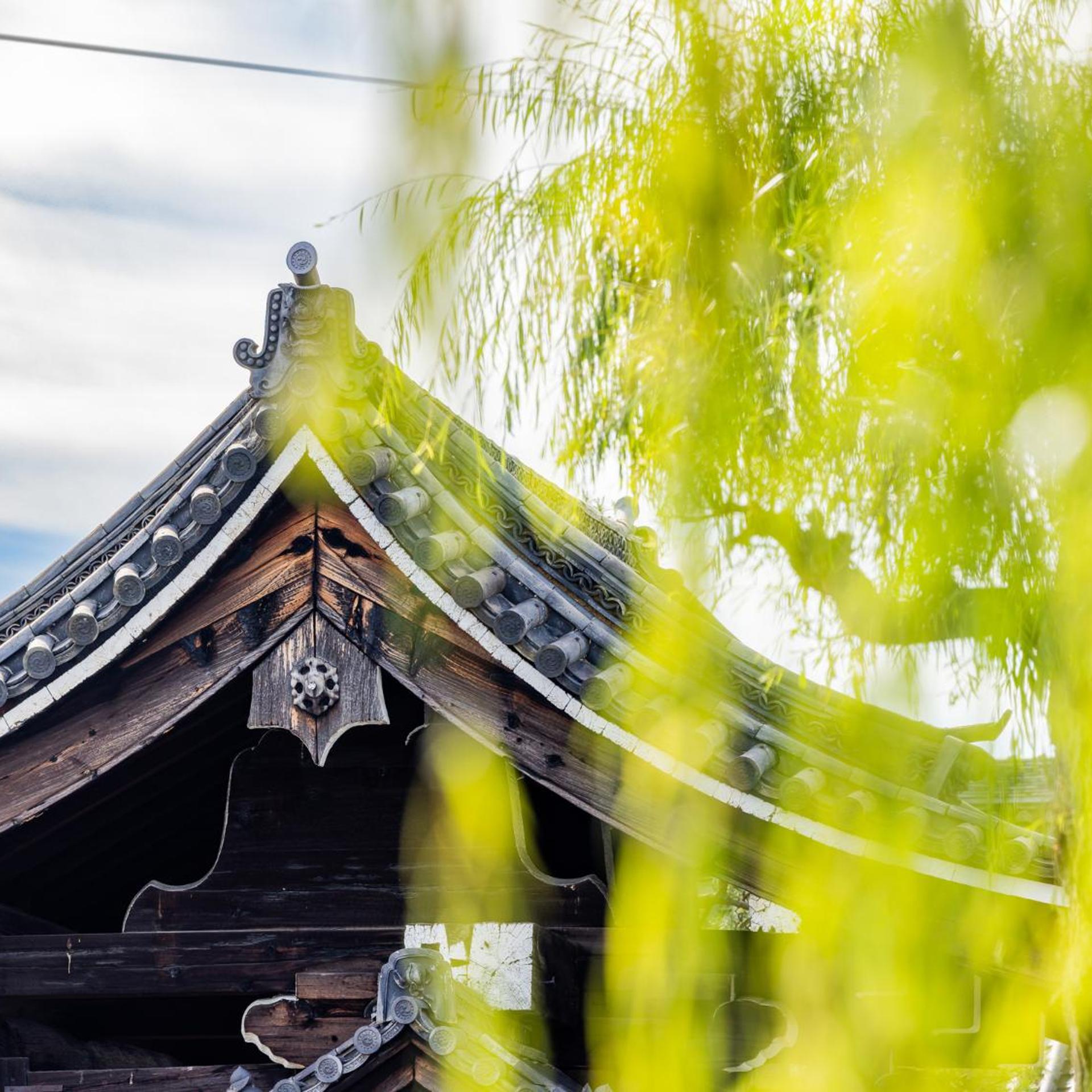 AKEKURE Kyoto Shirakawa 5/50