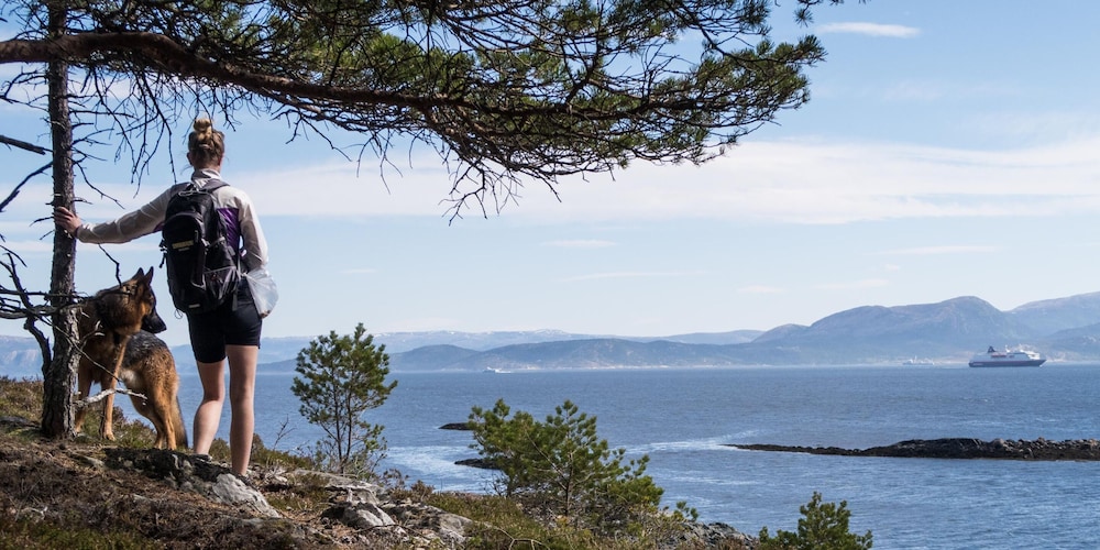 Hjorten Hotell Hitra 41/50
