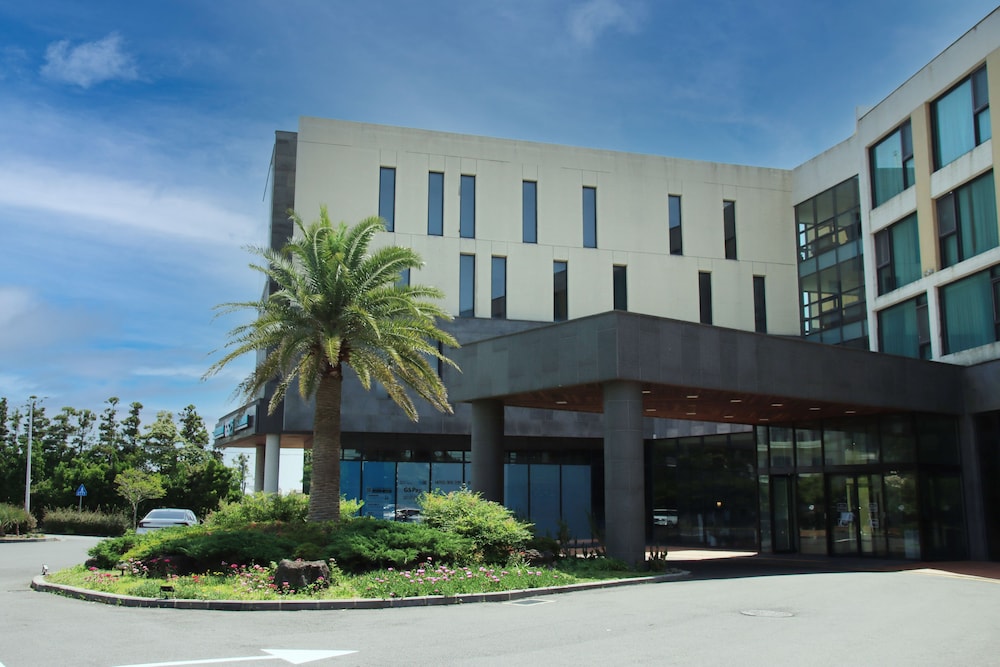 Grandmer Hotel Jeju 11/67