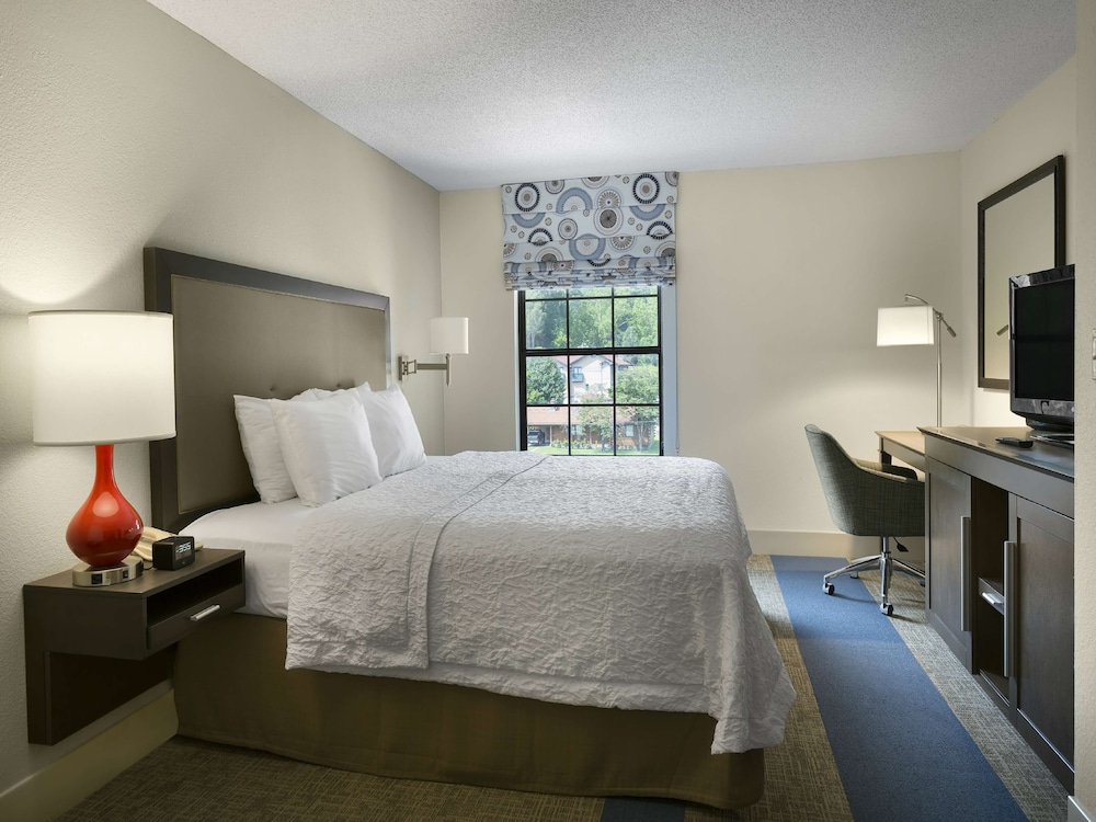 Hampton Inn Helen 16/42
