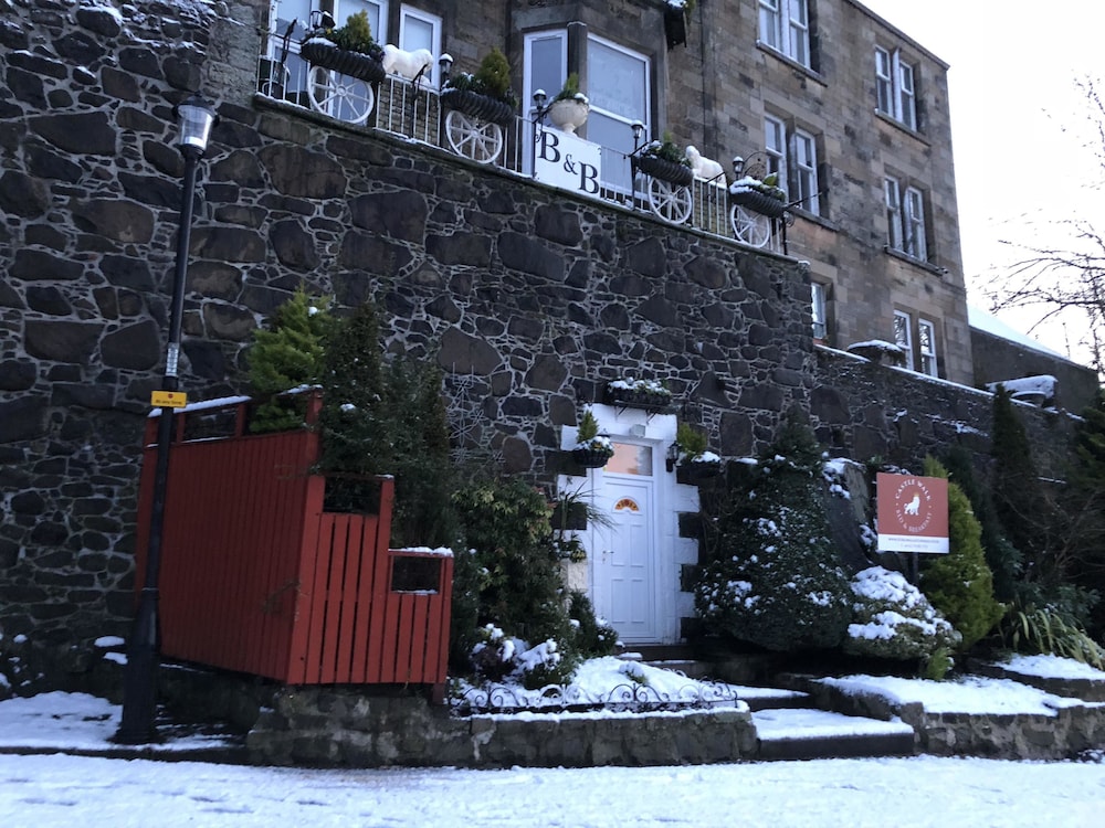 Castle Walk Bed & Breakfast 1/47