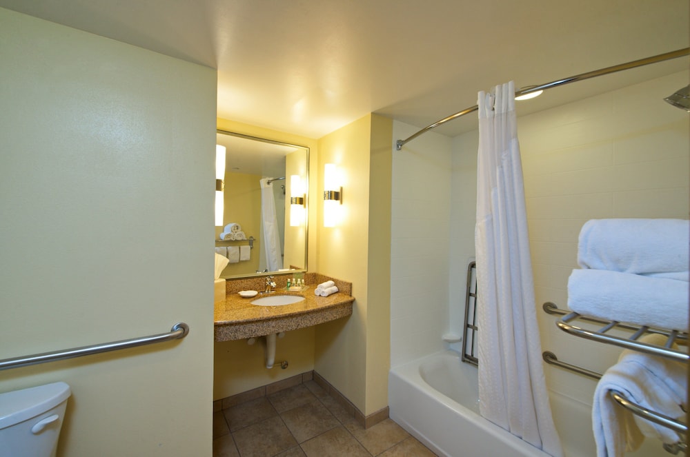 HOLIDAY INN TITUSVILLE KENNEDY SPACE CENTER 22/76