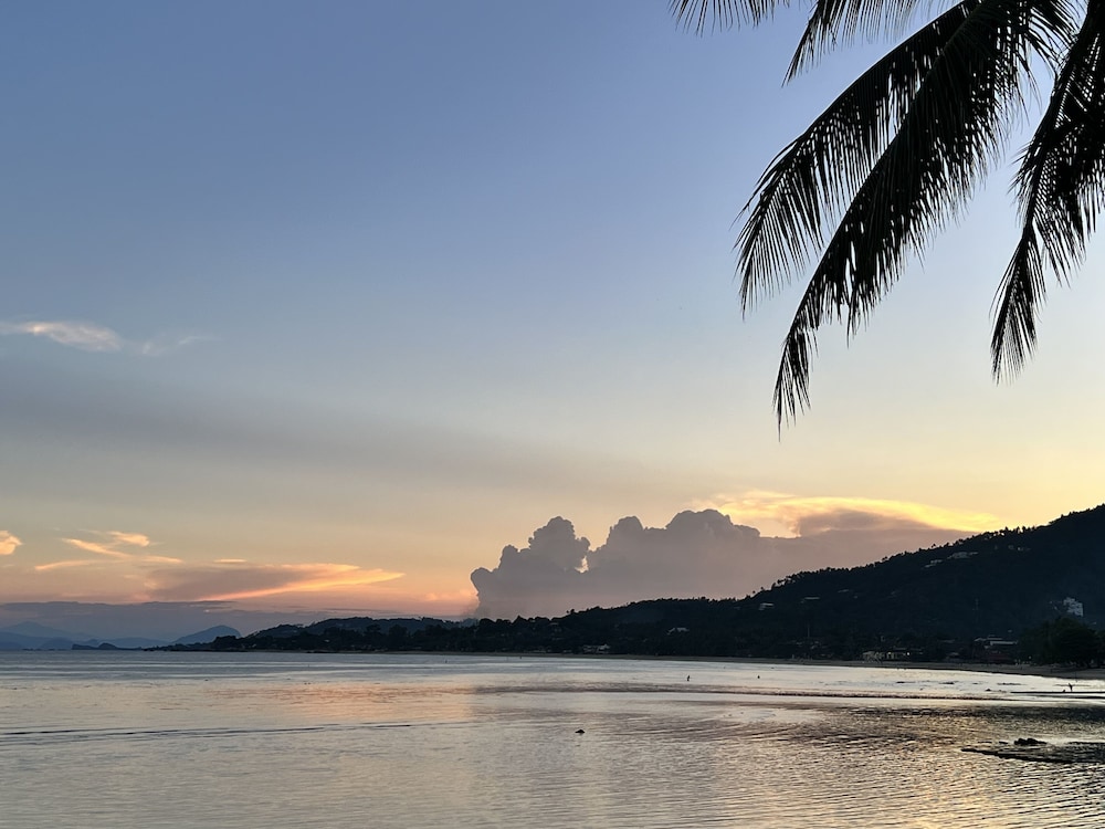Pearl of Samui Resort 31/50