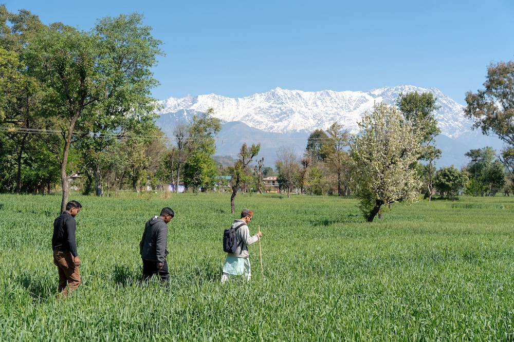 Tree Of Life Birdsong Chalets, Dharamshala 46/50