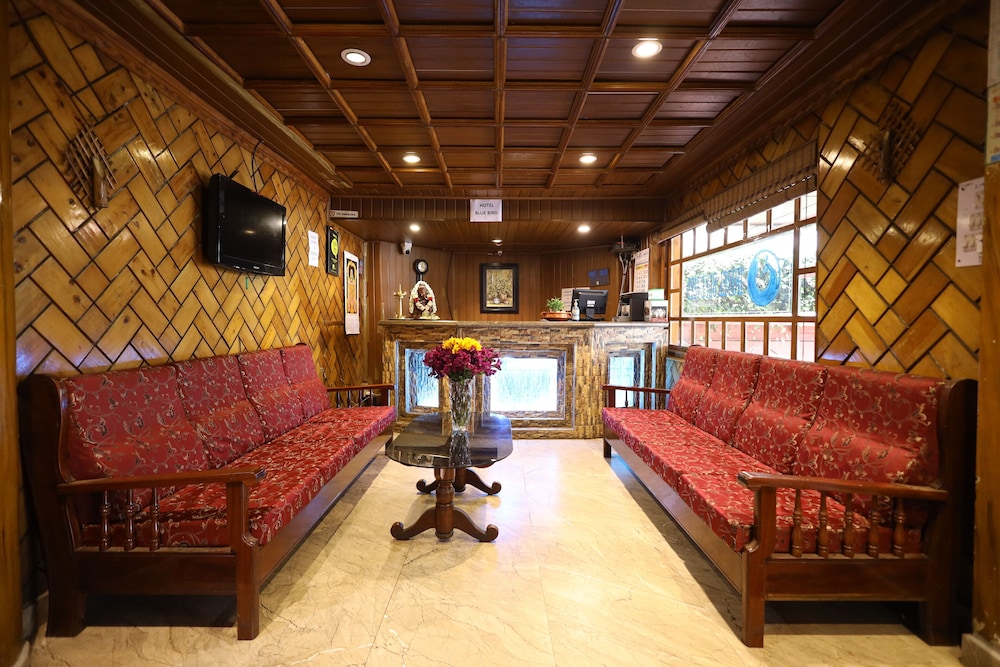 HOTEL BLUE BIRD 20/31