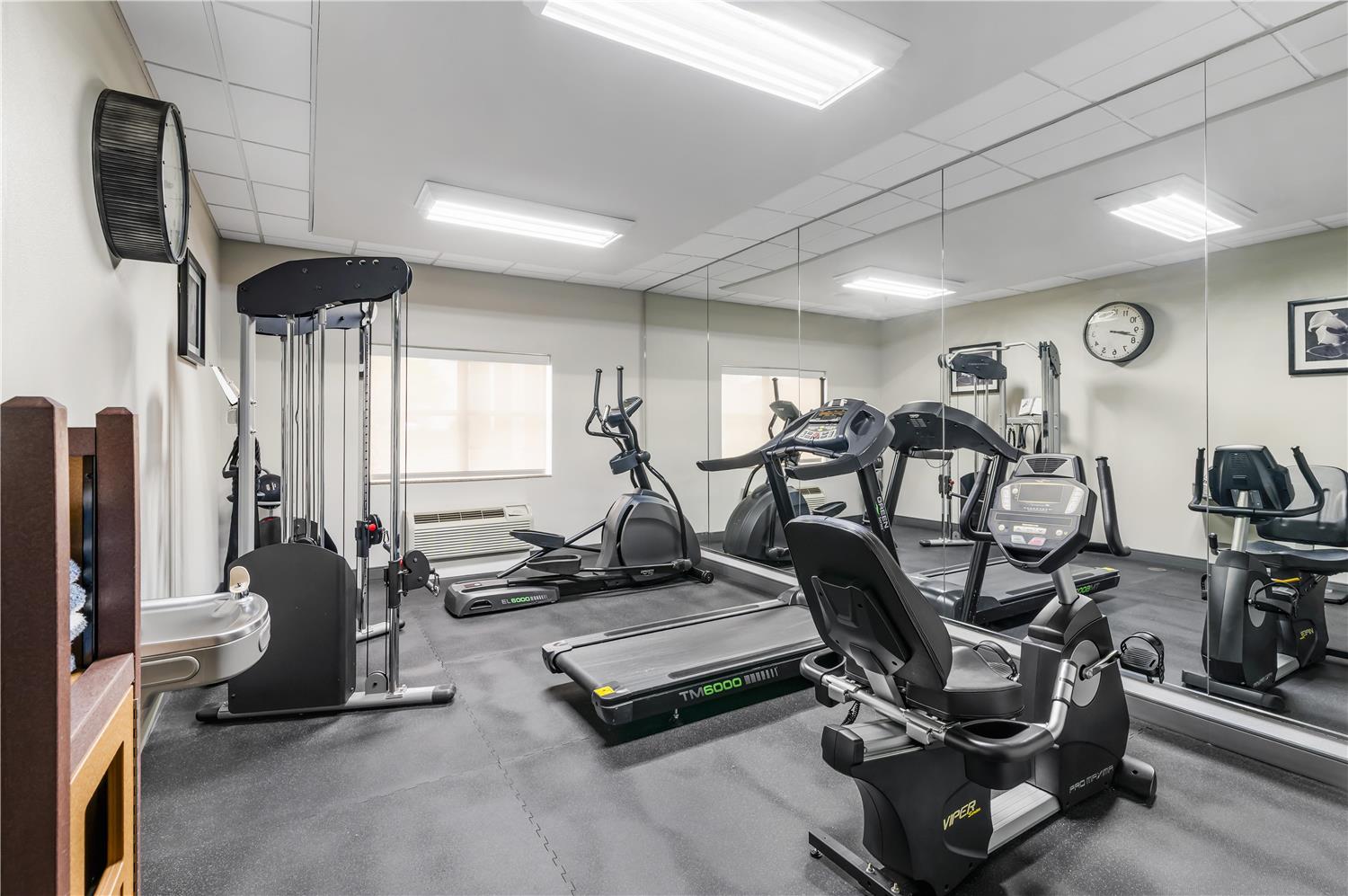 Best Western Plus JFK Inn & Suites 32/49