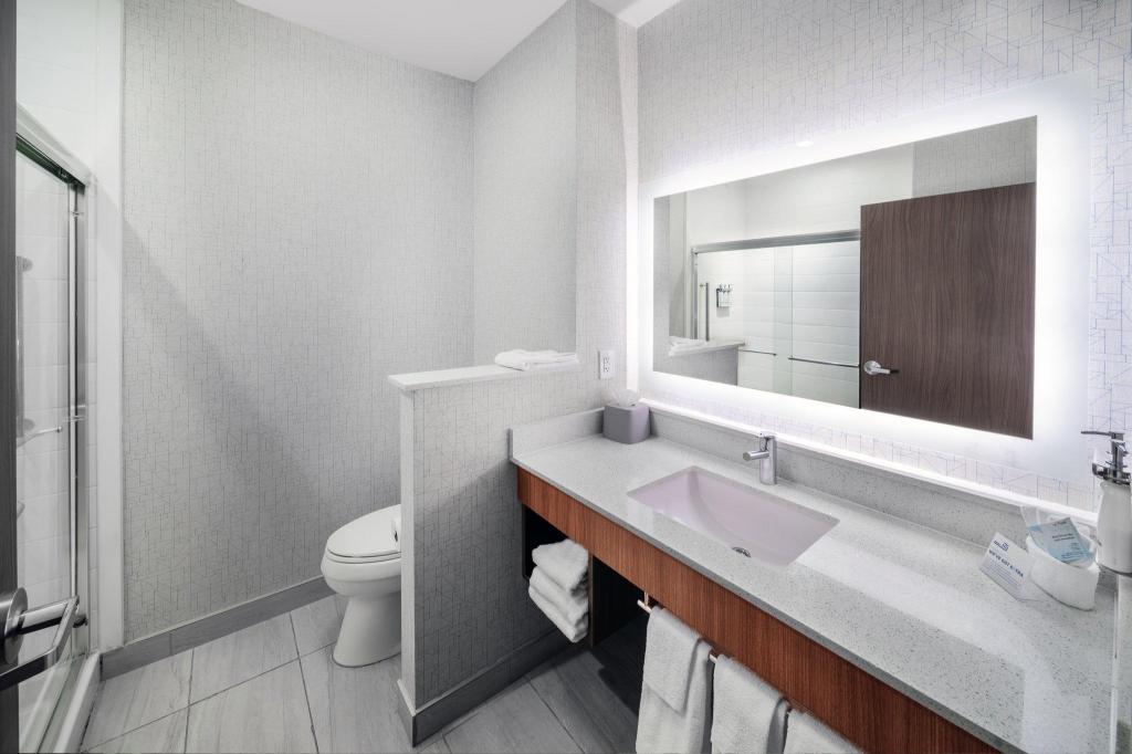 Standard, King Bed, Holiday Inn Express & Suites Dalhart 4/4