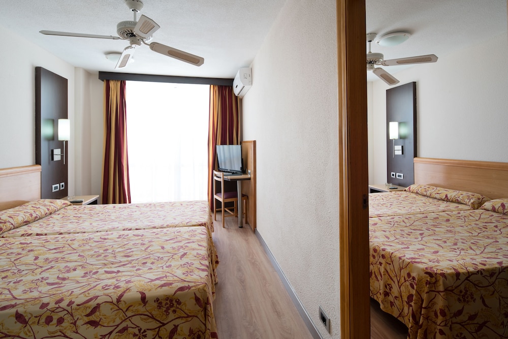Catalonia Oro Negro 28/62
